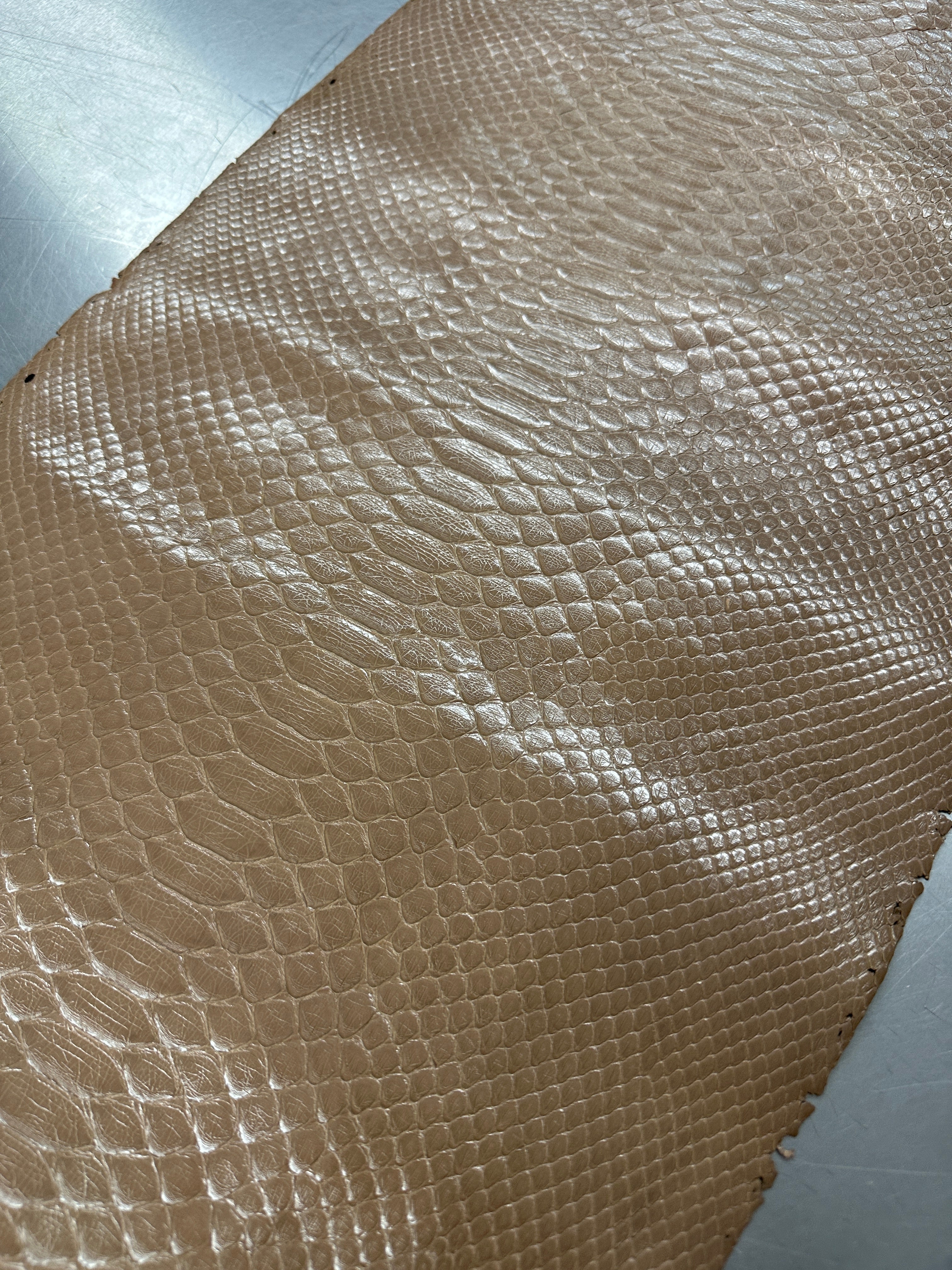 Back Cut Bleached Glazed Light Tobacco Burmese Python 2.95m/30cm/Gr1