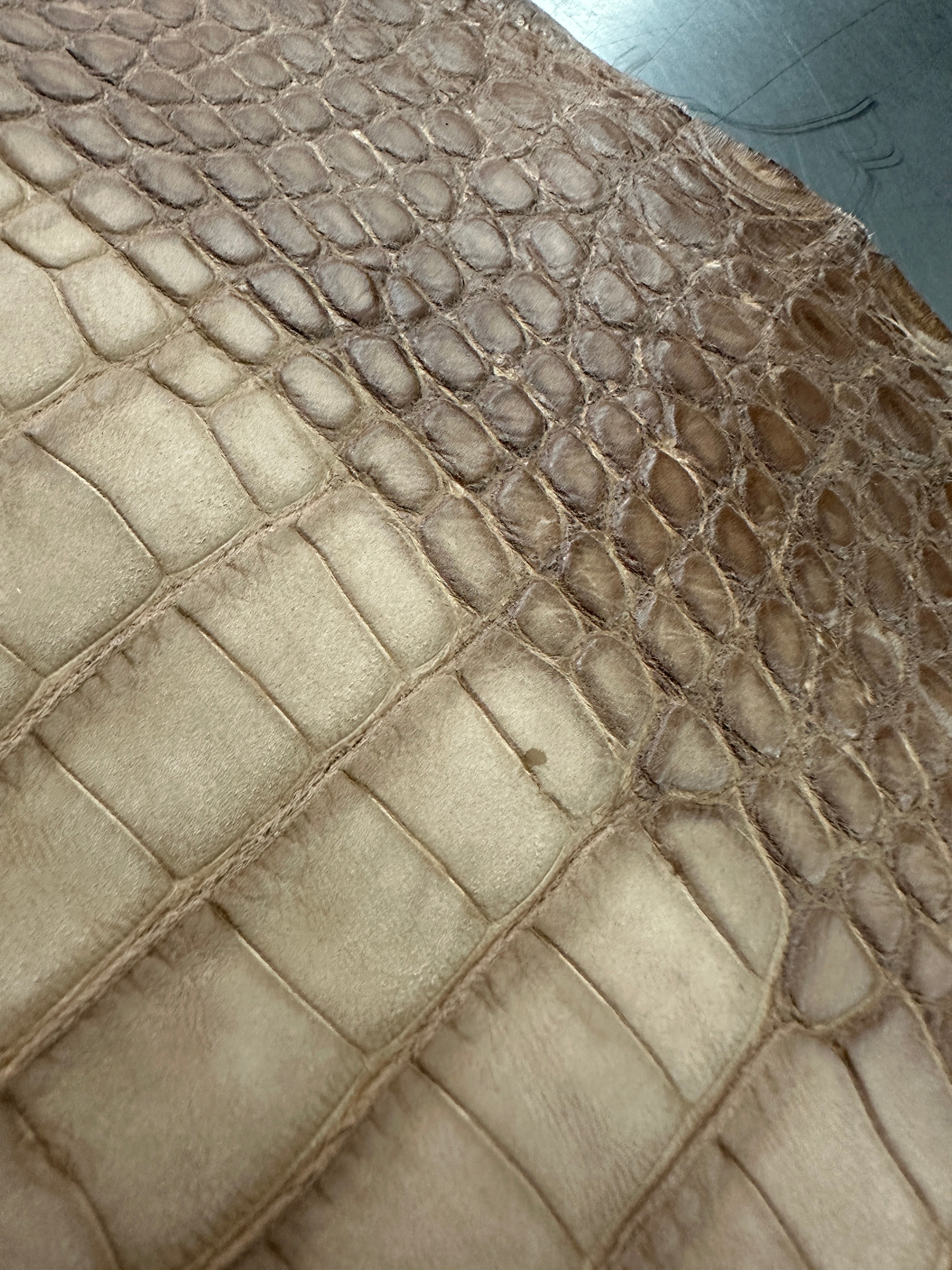Degrade Taupe Nubuck Alligator 28 cm Grade 3