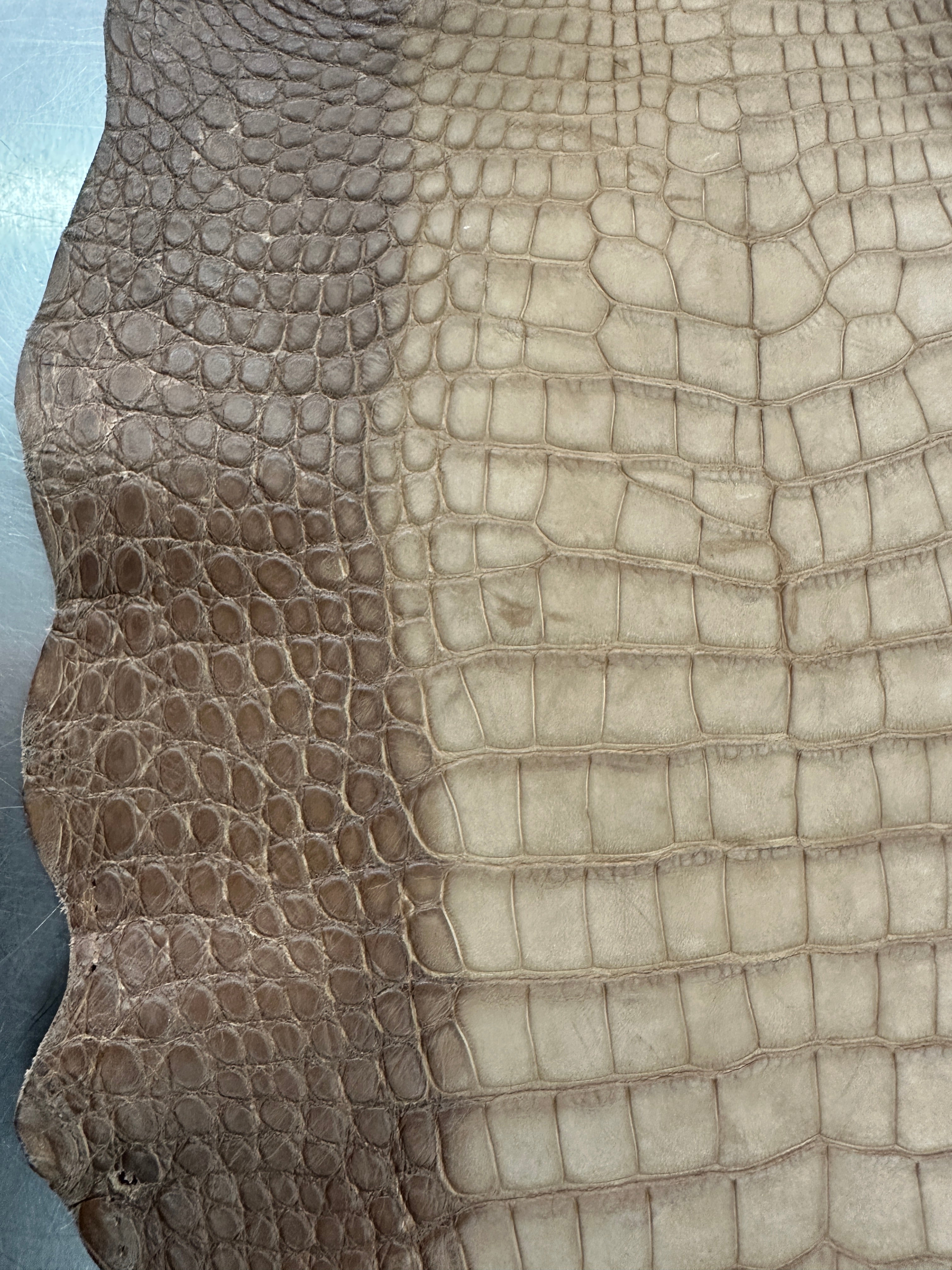 Degrade Taupe Nubuck Alligator 28 cm Grade 3