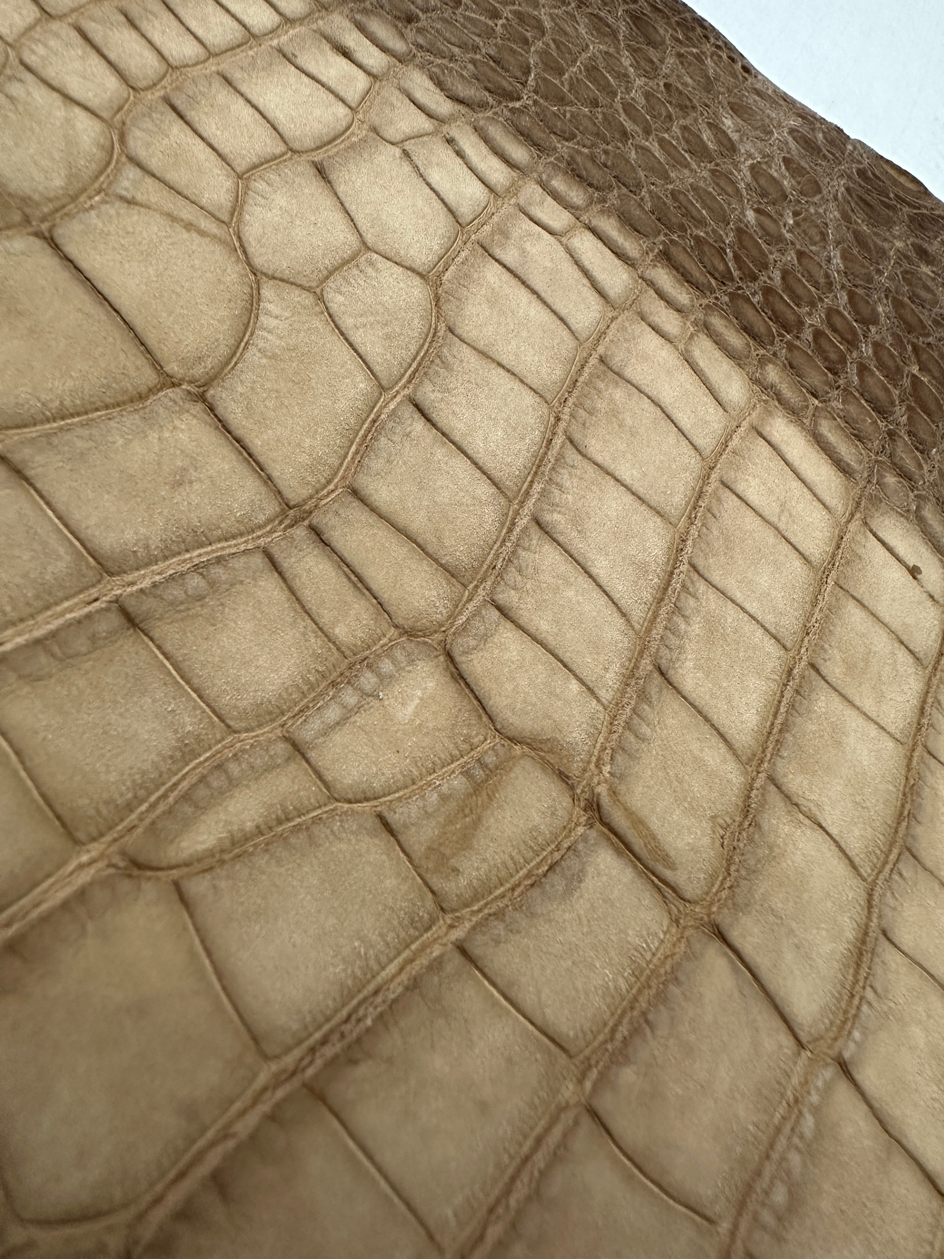 Degrade Taupe Nubuck Alligator 28 cm Grade 3