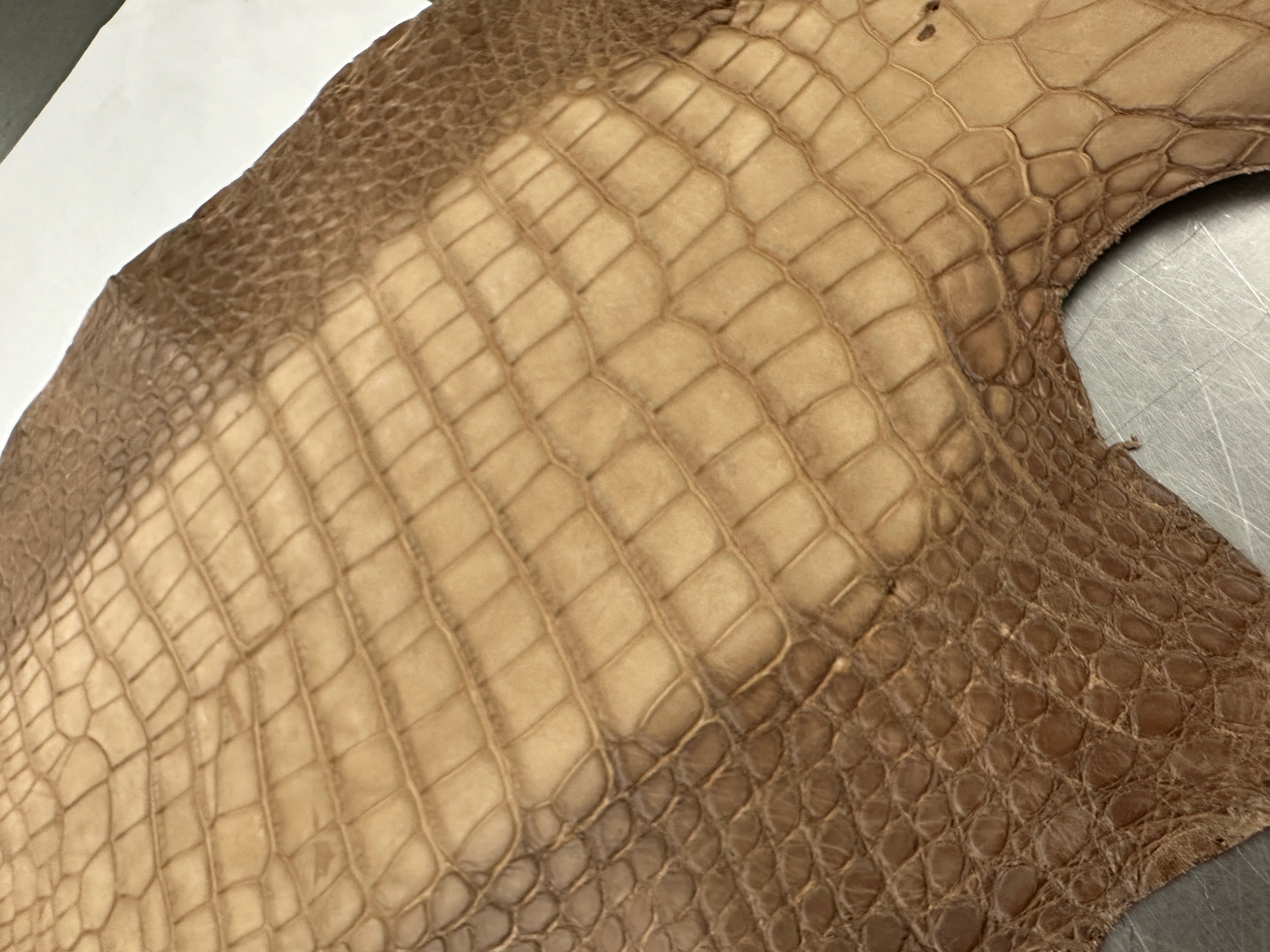 Degrade Taupe Nubuck Alligator 28 cm Grade 3