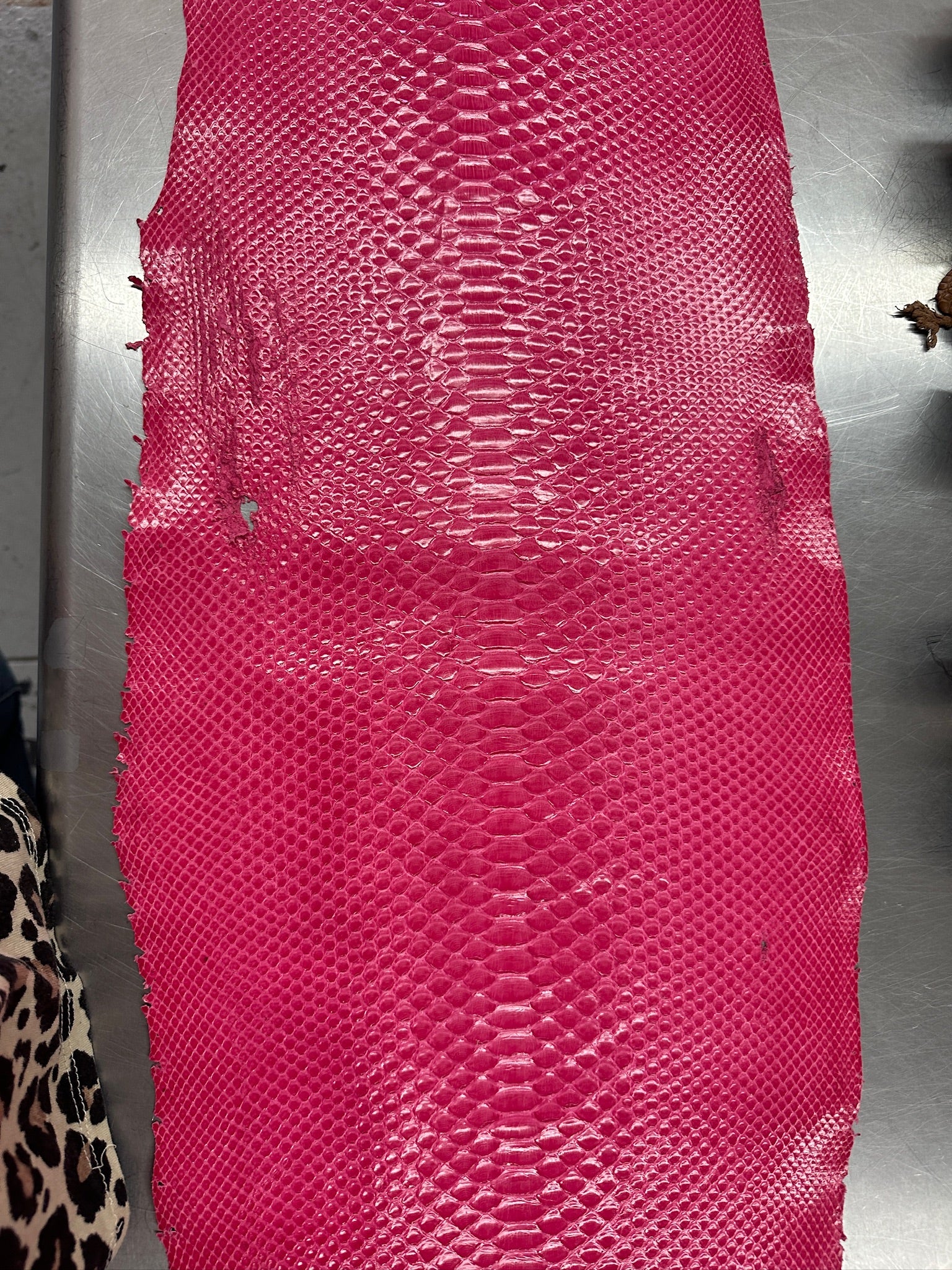 Glazed Fuchsia Burmese Python 2.50m/30 cm/Grade 2