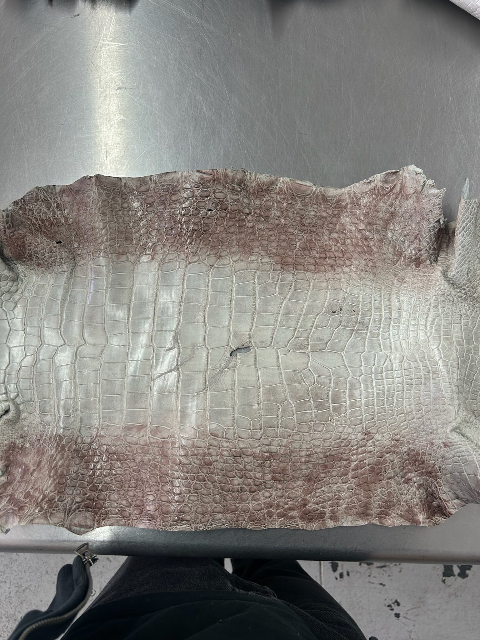 Alligator Skin Belly Matte Galano Himalayan 35cm/Gr5/WO19665/LA23035617