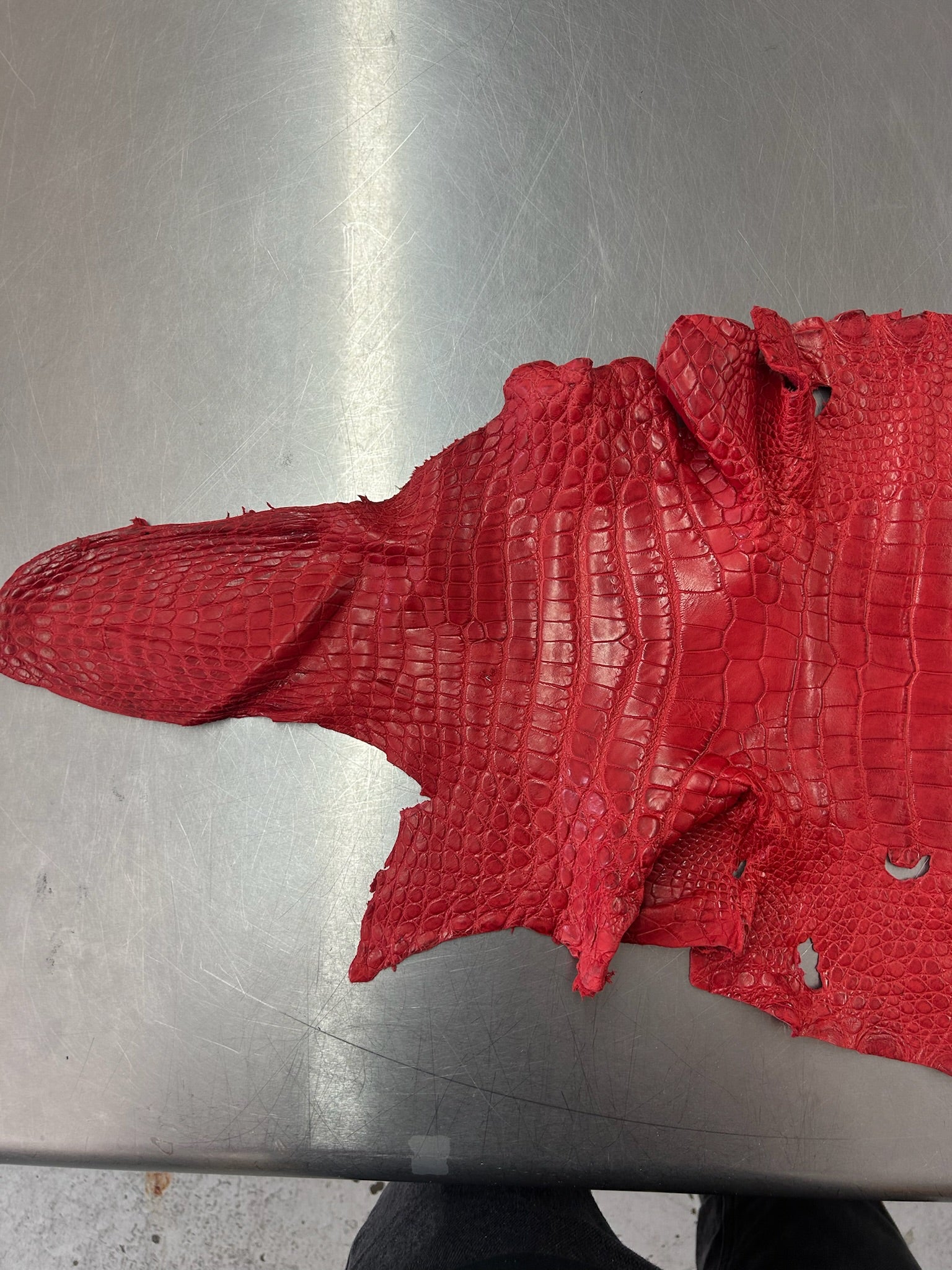 Alligator Skin Belly Matte Galano Racing Red 37cm/Gr5/WO19668/LA23041134