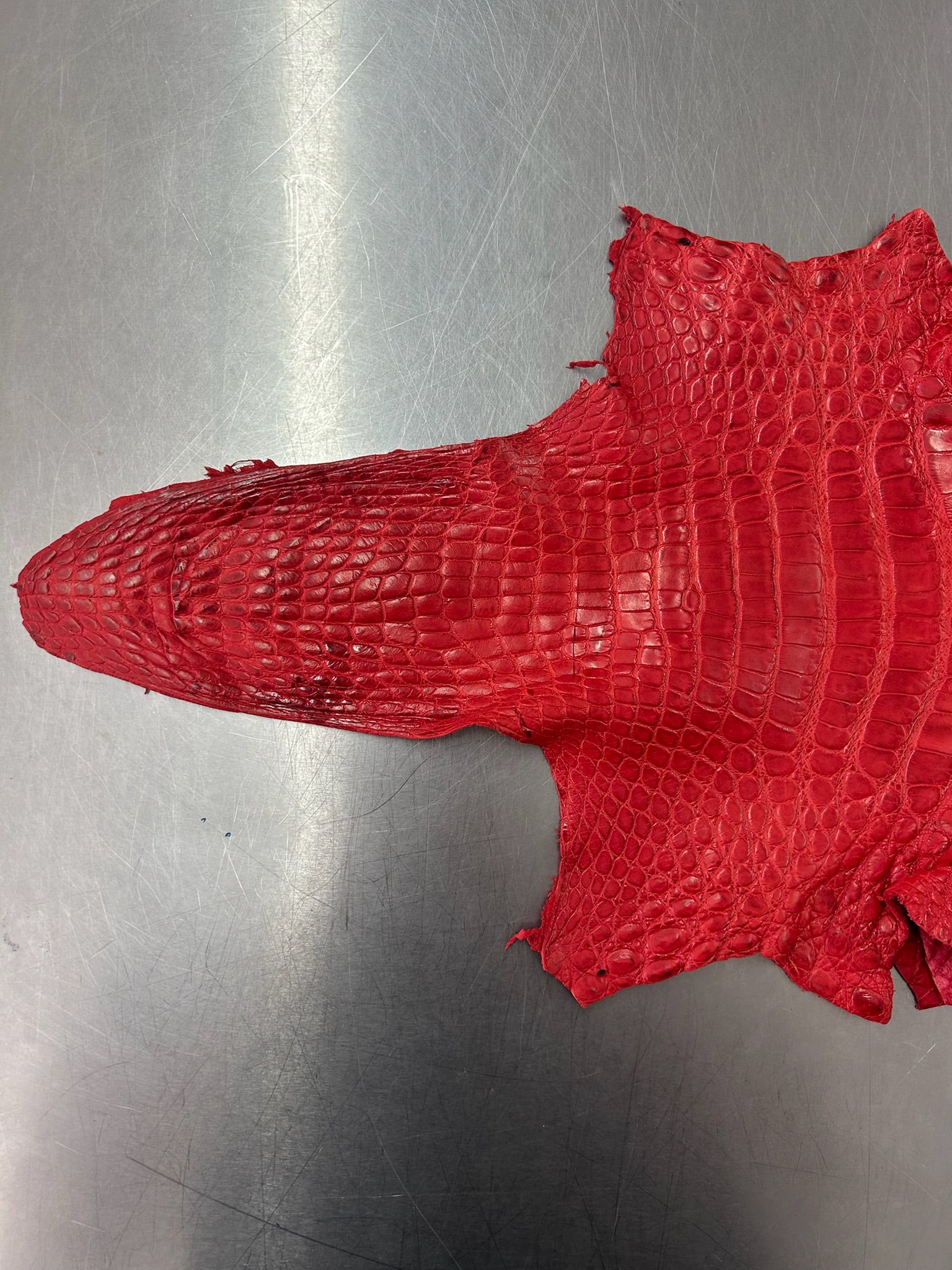 Alligator Skin Belly Matte Galano Racing Red 36cm/Gr5/WO19668/LA23022581