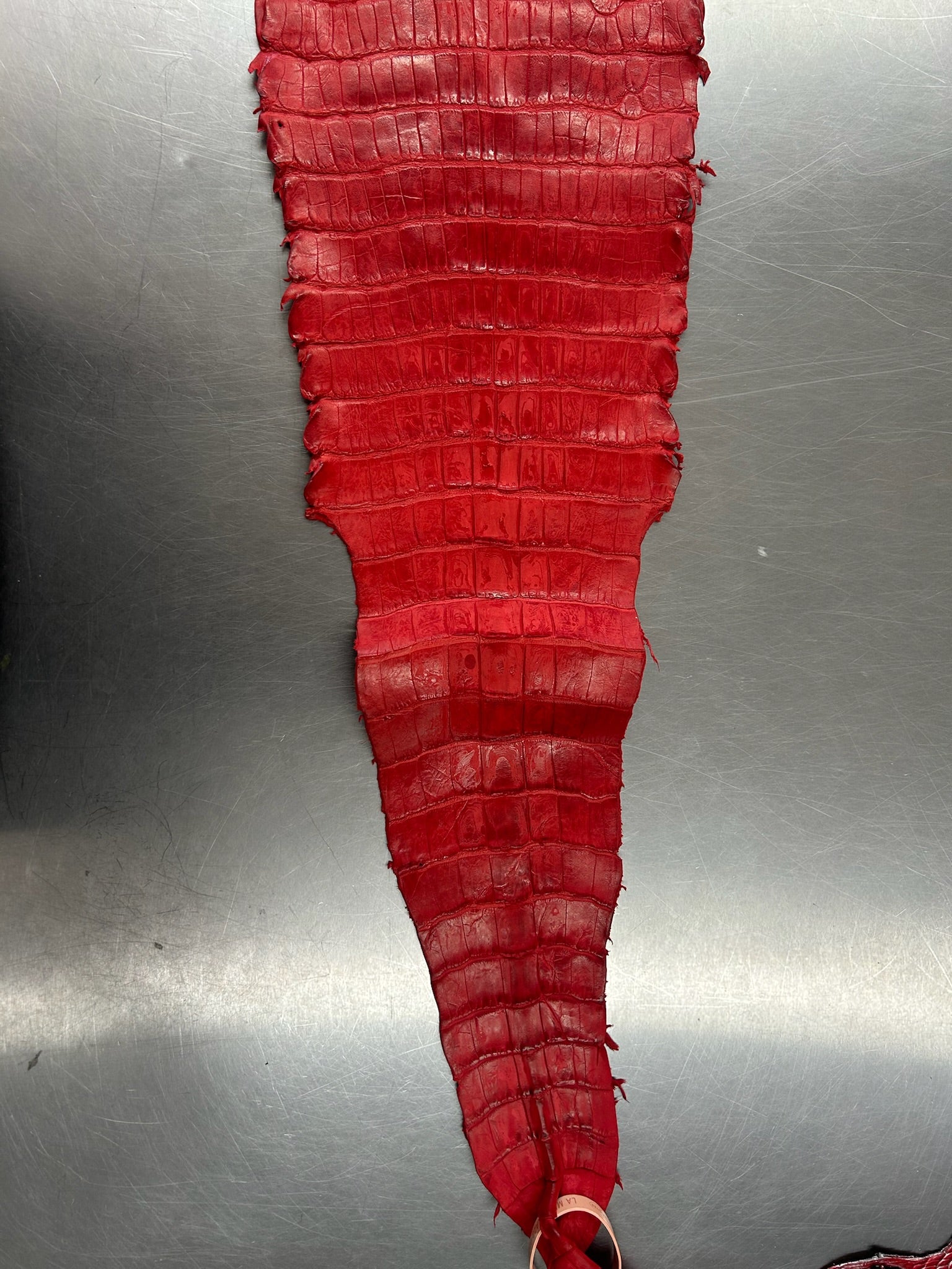 Alligator Skin Belly Matte Galano Racing Red 36cm/Gr5/WO19668/LA23022581
