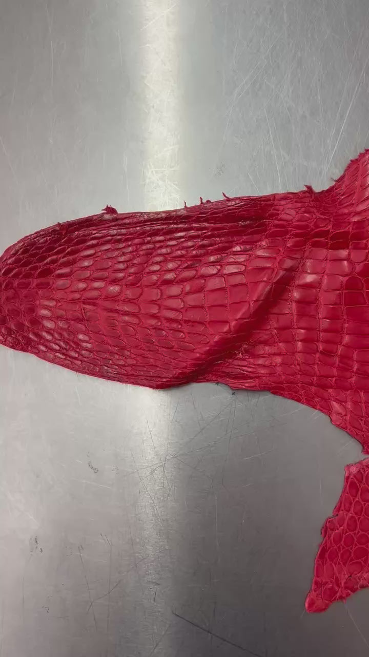 Alligator Skin Belly Matte Galano Racing Red 37cm/Gr5/WO19668/LA23041134