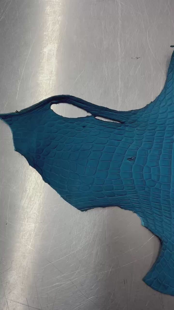 Alligator Skin Belly Rubberized Fjord Blue 41cm/Gr3/0857996