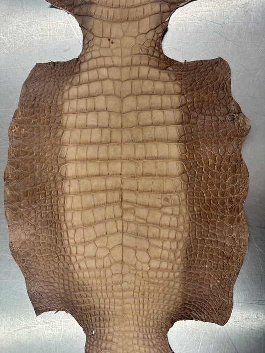 Degrade Taupe Nubuck Alligator 28 cm Grade 3