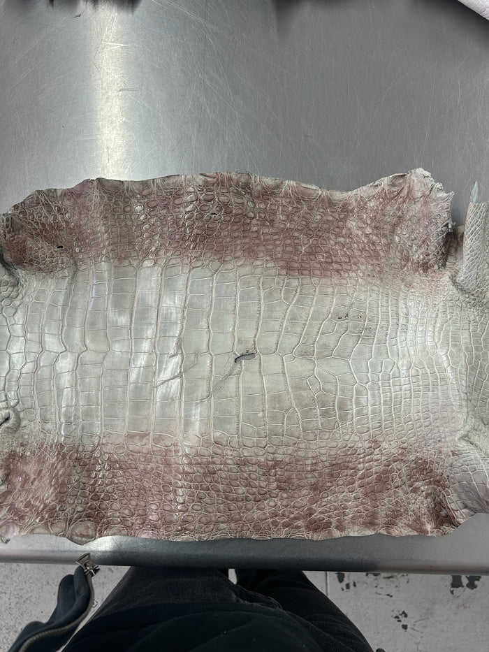 Alligator Skin Belly Matte Galano Himalayan 35cm/Gr5/WO19665/LA23035617