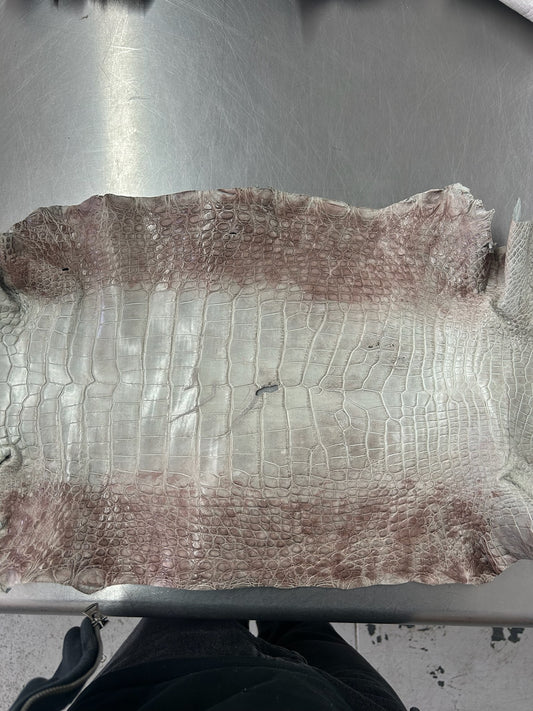 Alligator Skin Belly Matte Galano Himalayan 35cm/Gr5/WO19665/LA23035617