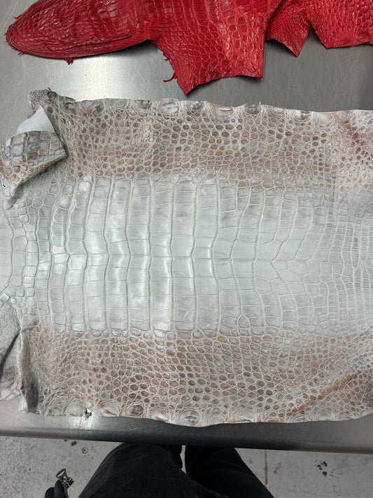 Alligator Skin Belly Matte Galano Himalayan 38cm/Gr3/WO19665/LA24017201