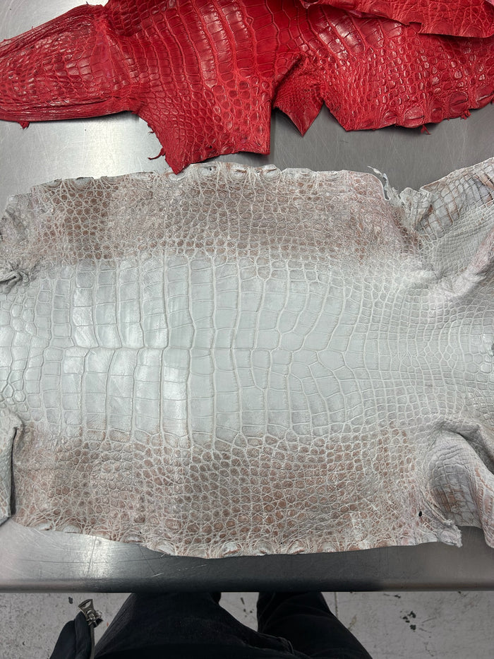 Alligator Skin Belly Matte Galano Himalayan 38cm/Gr5/WO19665/LA24017391