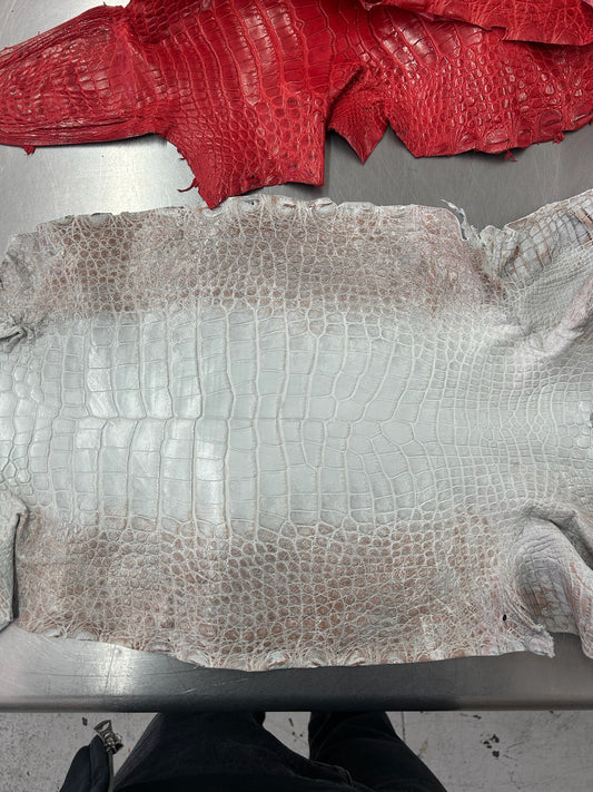 Alligator Skin Belly Matte Galano Himalayan 38cm/Gr5/WO19665/LA24017391