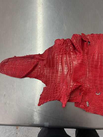 Alligator Skin Belly Matte Galano Racing Red 37cm/Gr5/WO19668/LA23041134