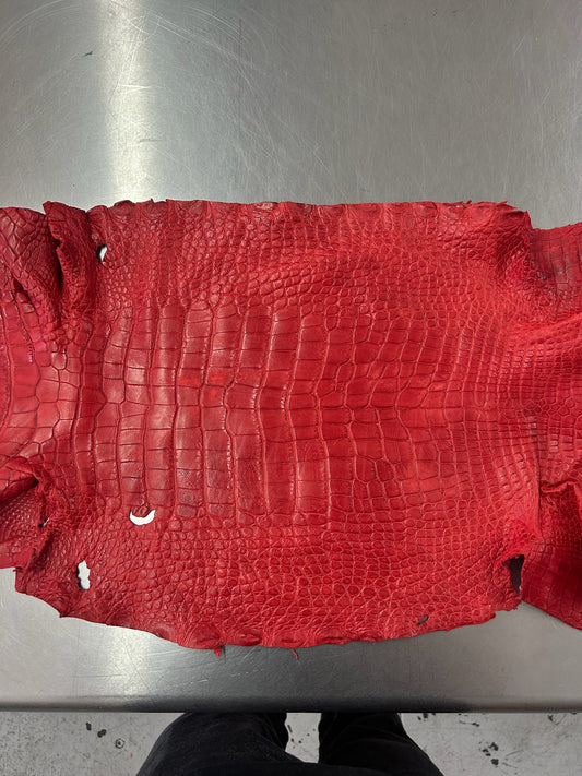 Alligator Skin Belly Matte Galano Racing Red 37cm/Gr5/WO19668/LA23041134