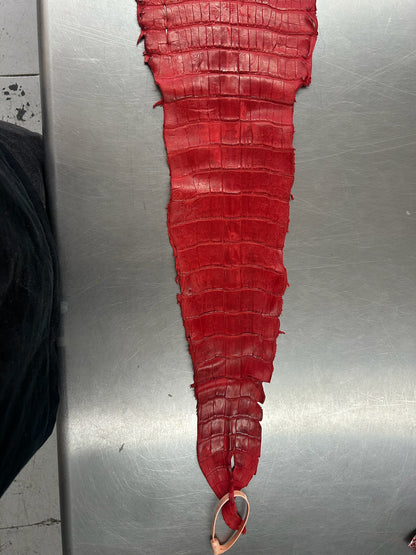 Alligator Skin Belly Matte Galano Racing Red 37cm/Gr5/WO19668/LA23041134