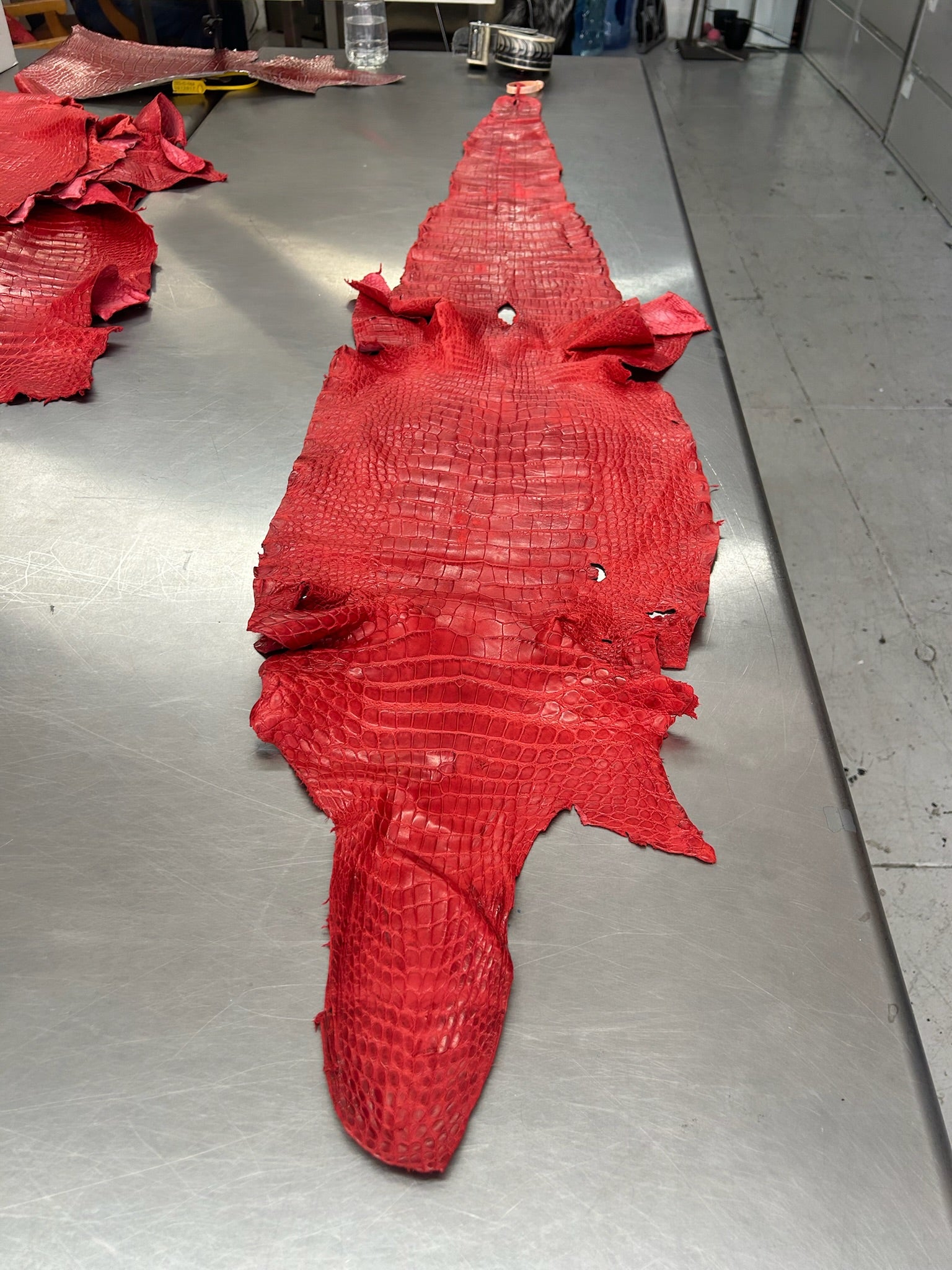 Alligator Skin Belly Matte Galano Racing Red 37cm/Gr5/WO19668/LA23041134