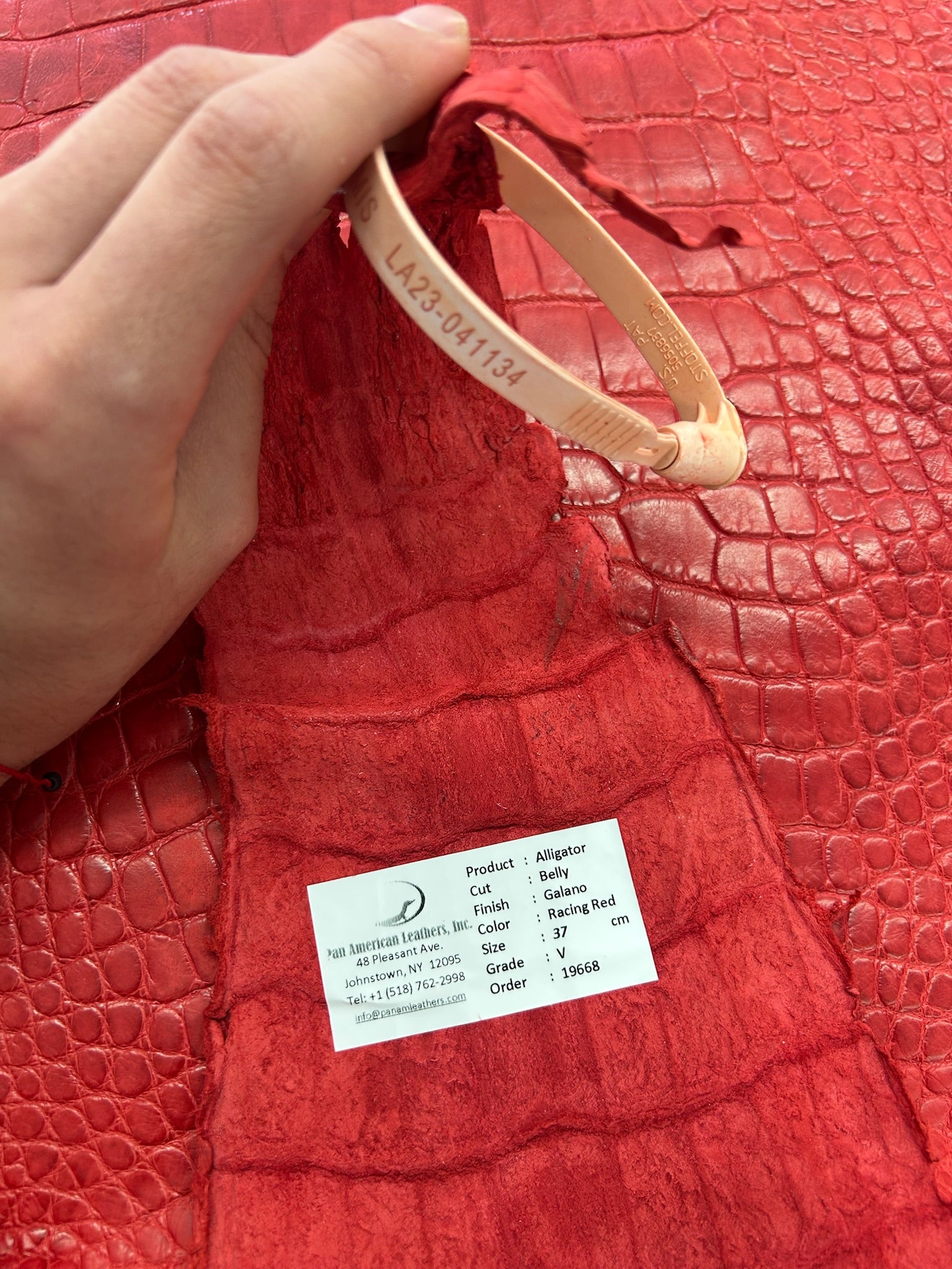 Alligator Skin Belly Matte Galano Racing Red 37cm/Gr5/WO19668/LA23041134