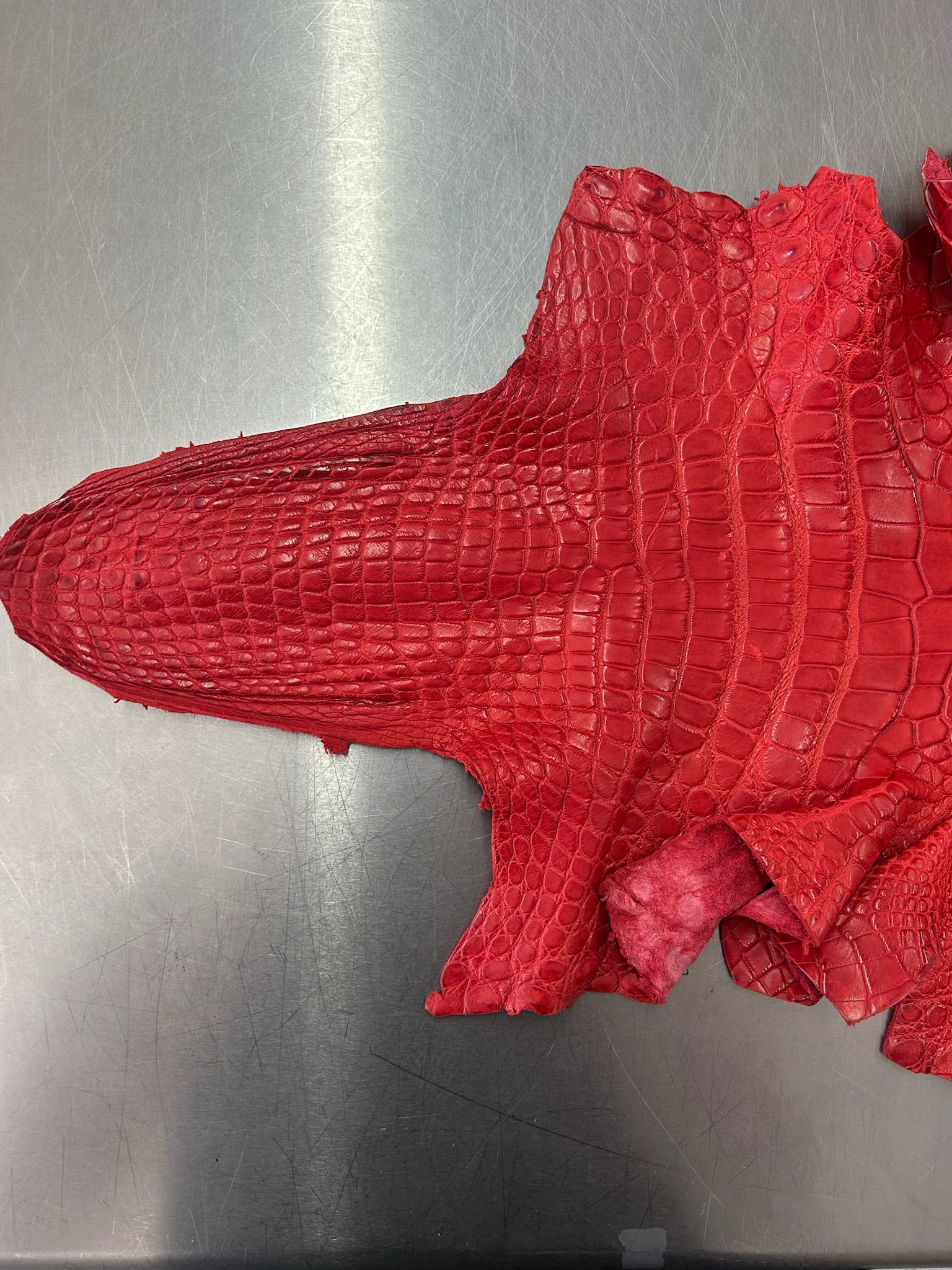 Alligator Skin Belly Matte Galano Racing Red 42cm/Gr5/WO19668/LA23014865