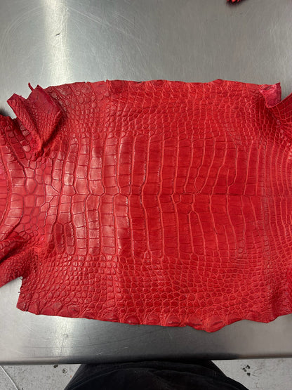 Alligator Skin Belly Matte Galano Racing Red 42cm/Gr5/WO19668/LA23014865