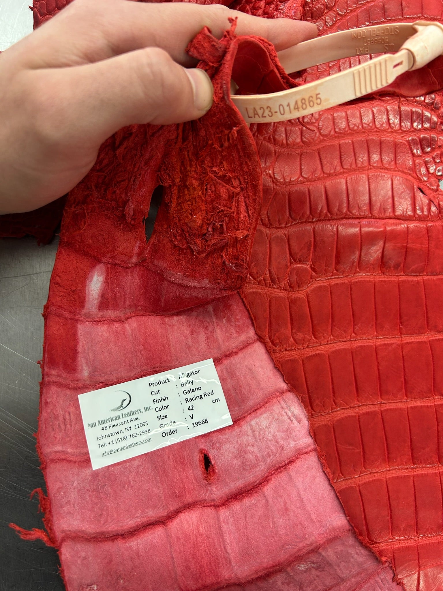 Alligator Skin Belly Matte Galano Racing Red 42cm/Gr5/WO19668/LA23014865