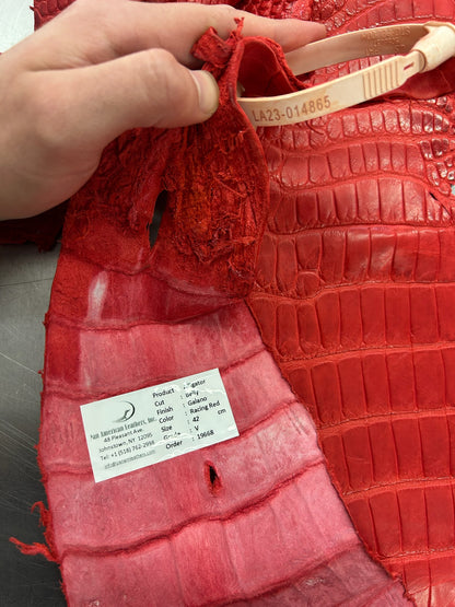 Alligator Skin Belly Matte Galano Racing Red 42cm/Gr5/WO19668/LA23014865