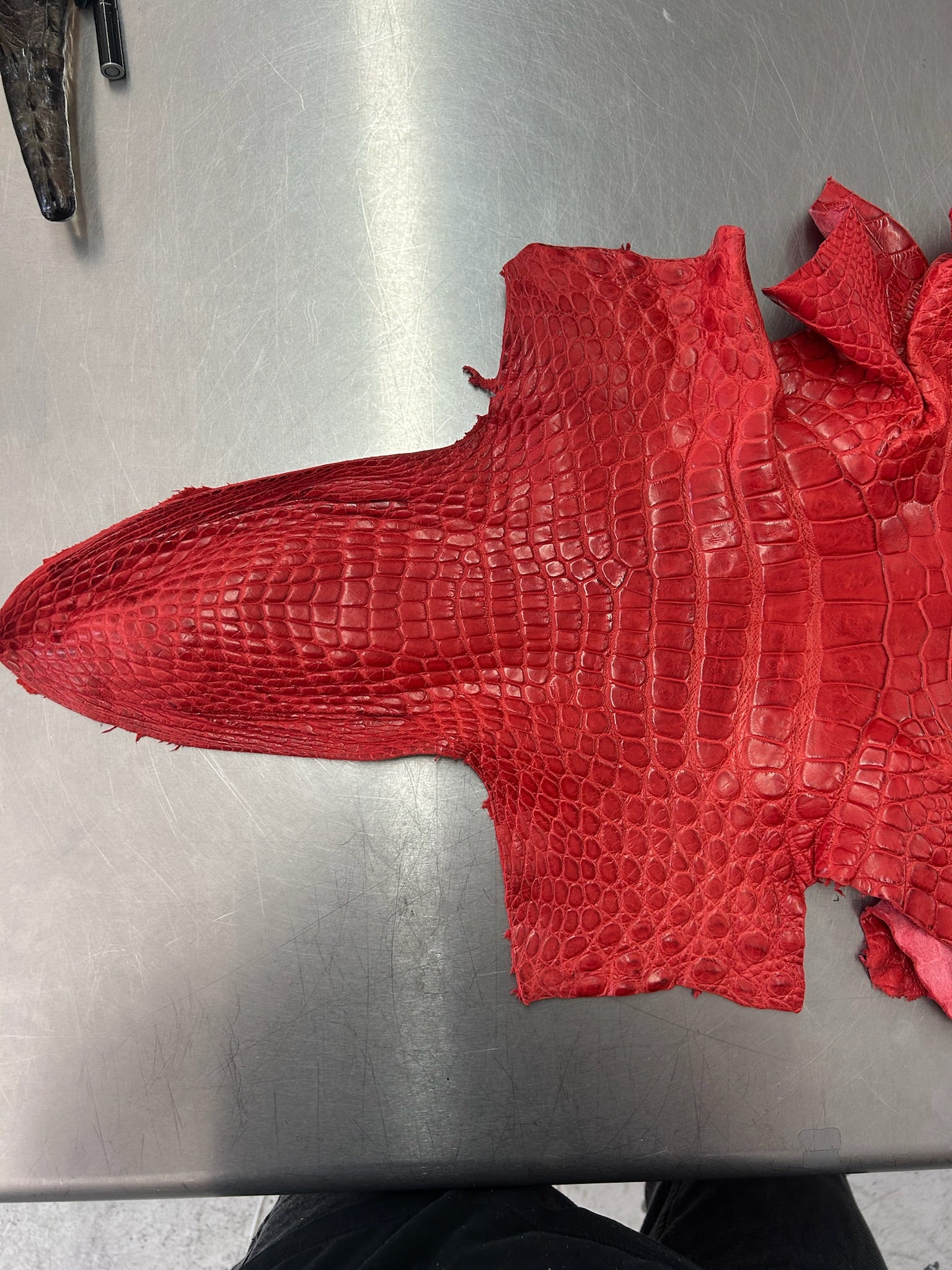 Alligator Skin Belly Matte Galano Racing Red 43cm/Gr5/WO19668/LA23027216