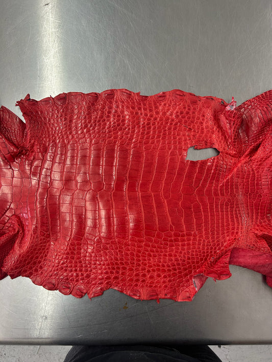 Alligator Skin Belly Matte Galano Racing Red 33cm/Gr5/WO19668/LA24030125