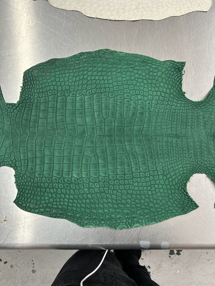 Alligator Skin Belly Suede Green 40cm/Gr2/09122909