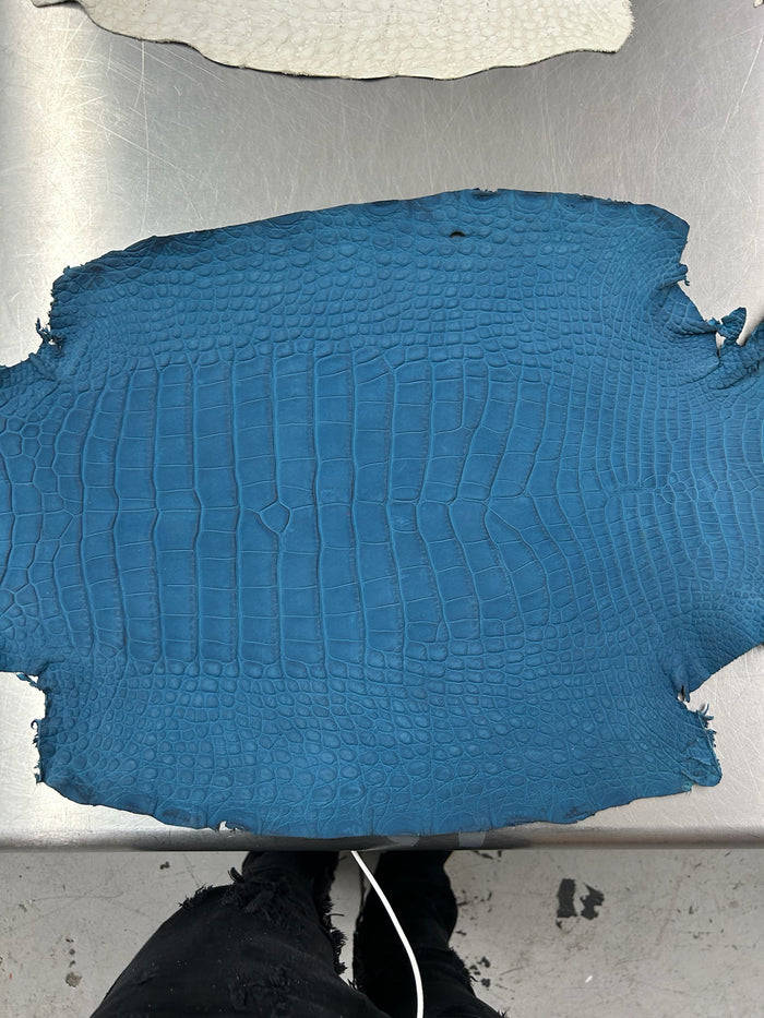 Alligator Skin Belly Rubberized Fjord Blue 41cm/Gr3/0857996