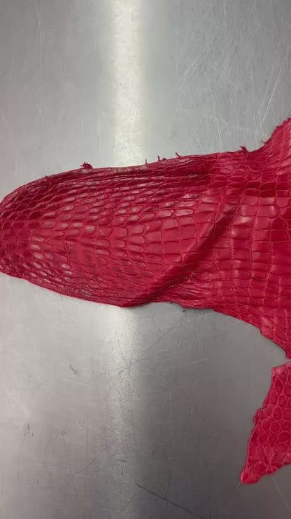 Alligator Skin Belly Matte Galano Racing Red 37cm/Gr5/WO19668/LA23041134