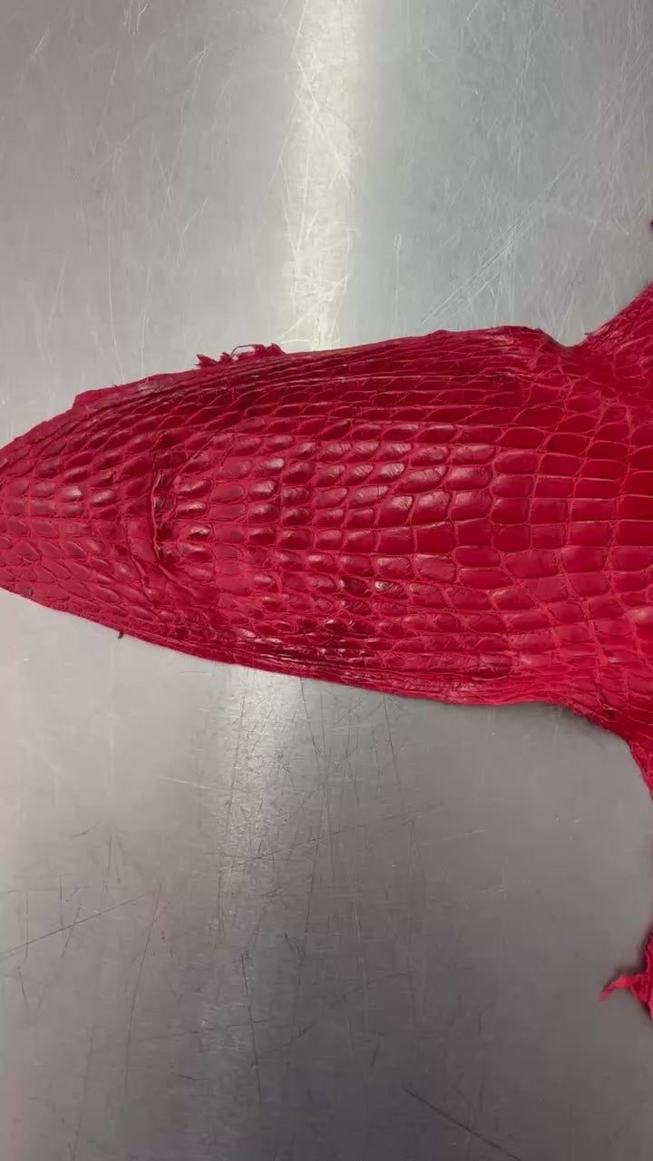 Alligator Skin Belly Matte Galano Racing Red 36cm/Gr5/WO19668/LA23022581