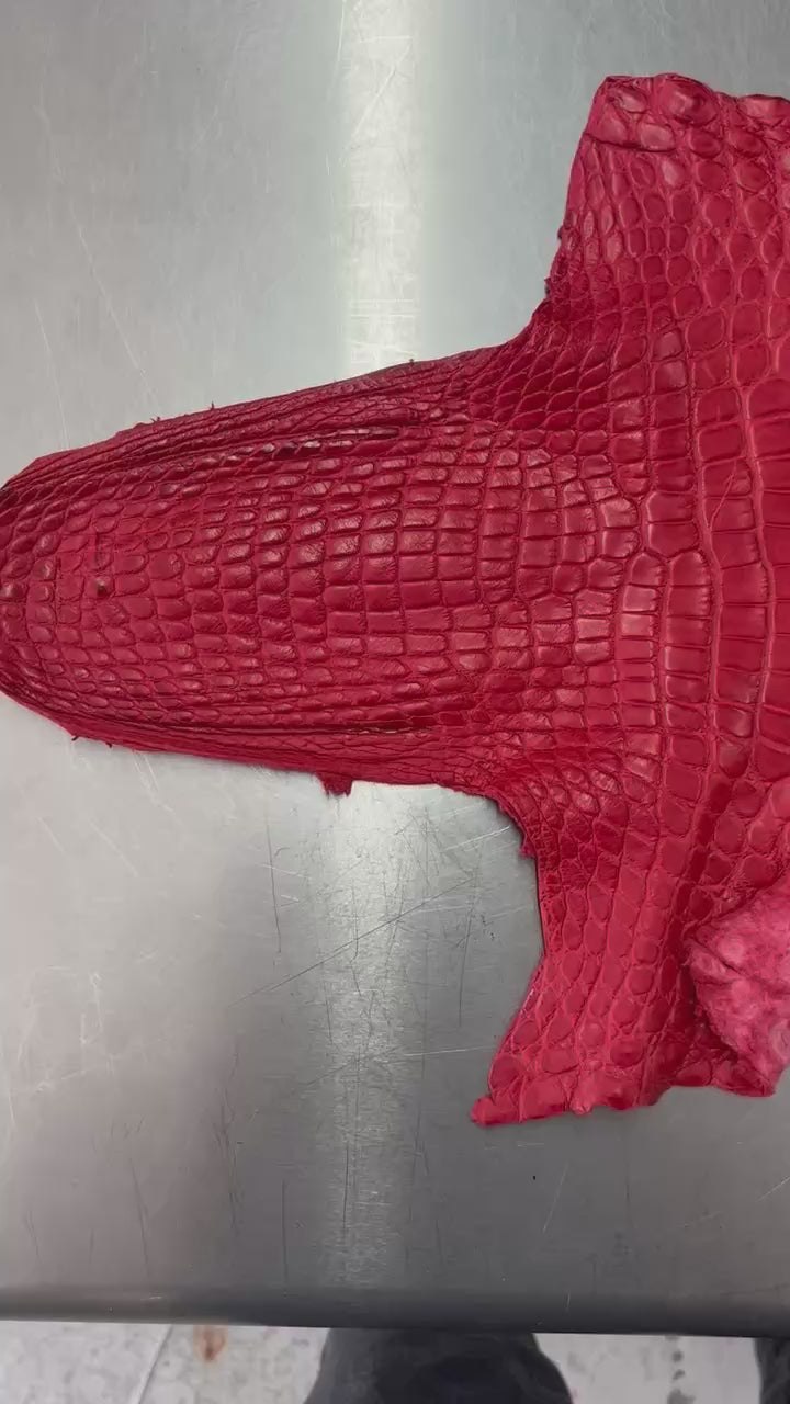Alligator Skin Belly Matte Galano Racing Red 42cm/Gr5/WO19668/LA23014865
