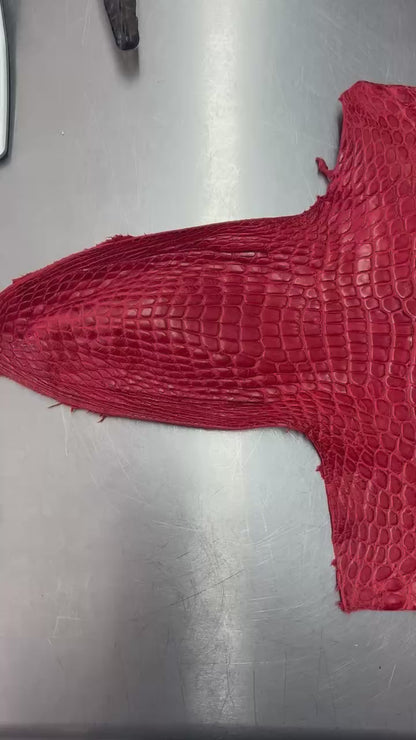 Alligator Skin Belly Matte Galano Racing Red 43cm/Gr5/WO19668/LA23027216
